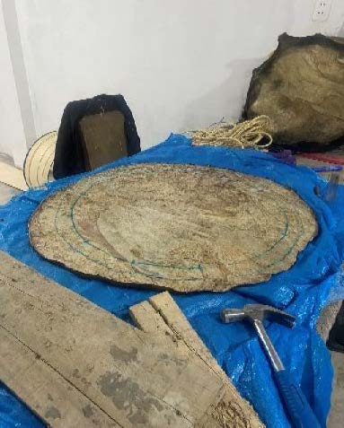 LATIDOS ANCESTRALES QUE IMPRIMEN FUERZA Y MAGIA TELÚRICA q3